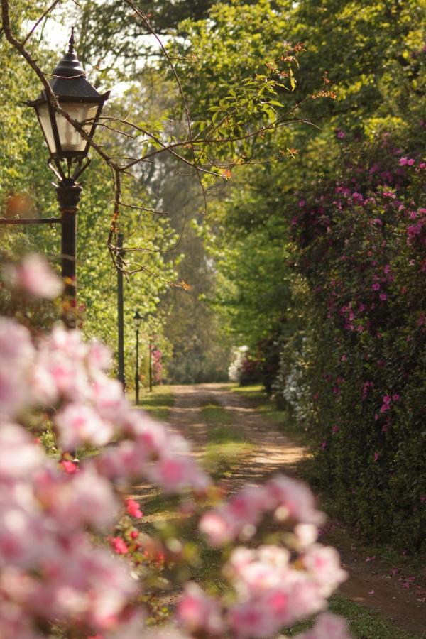The Knoll Historic Guest Farm Villa ฮิลตัน ภายนอก รูปภาพ