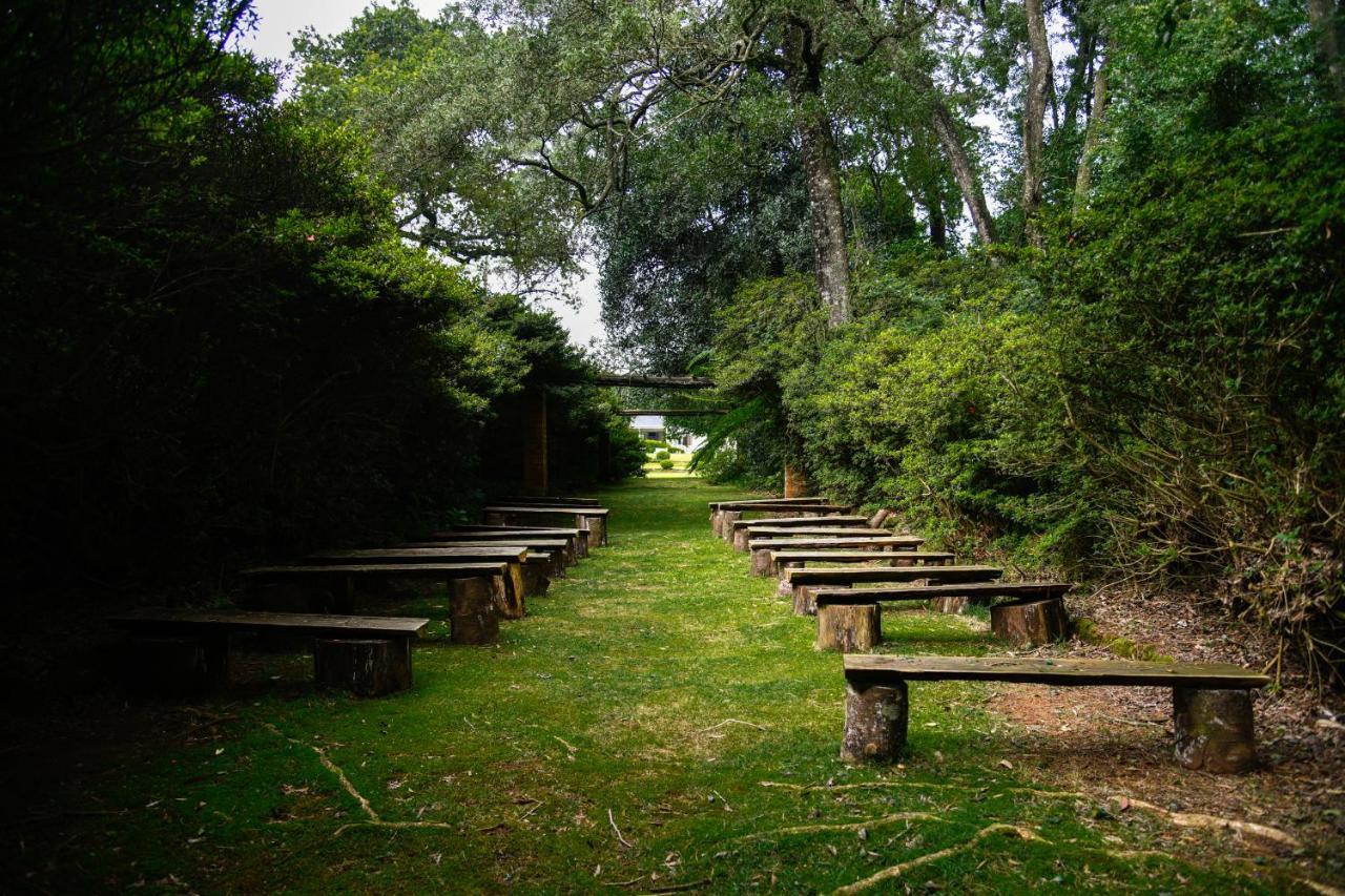 The Knoll Historic Guest Farm Villa ฮิลตัน ภายนอก รูปภาพ