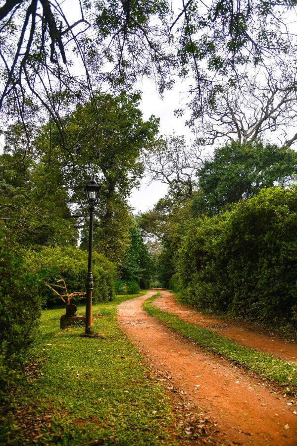 The Knoll Historic Guest Farm Villa ฮิลตัน ภายนอก รูปภาพ