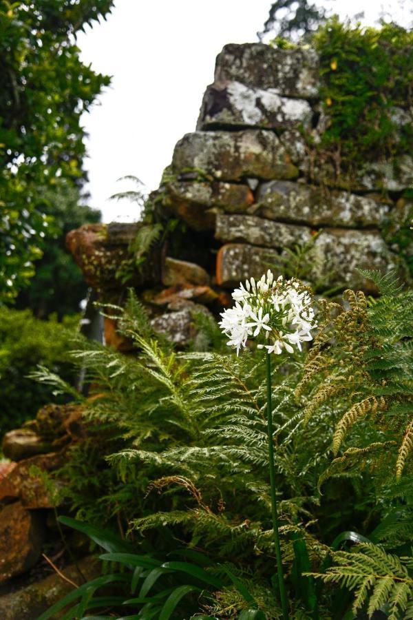 The Knoll Historic Guest Farm Villa ฮิลตัน ภายนอก รูปภาพ