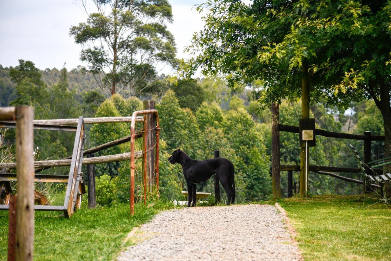 The Knoll Historic Guest Farm Villa ฮิลตัน ภายนอก รูปภาพ