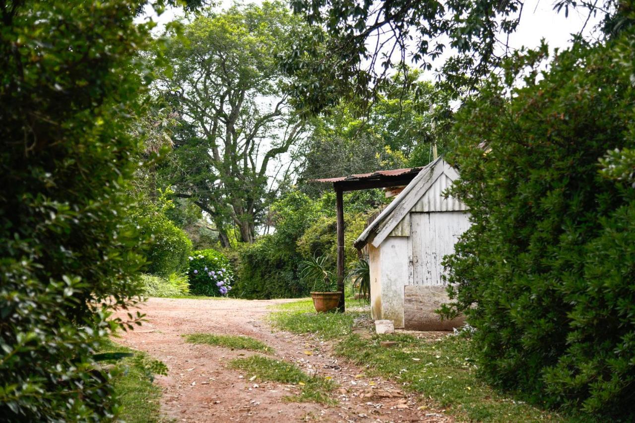 The Knoll Historic Guest Farm Villa ฮิลตัน ภายนอก รูปภาพ
