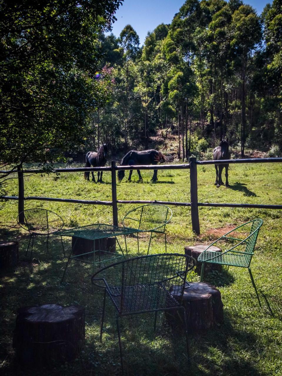 The Knoll Historic Guest Farm Villa ฮิลตัน ภายนอก รูปภาพ